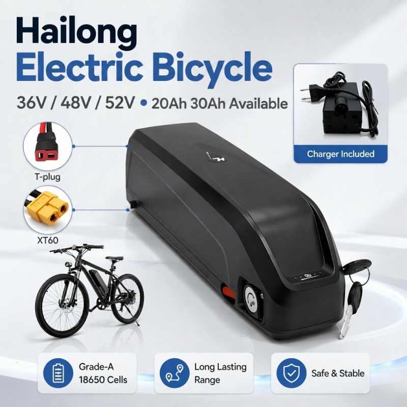 Multi-formaat E-bike accu Hail - Ebike Battery 48V 20Ah Hailong recensie en prijs