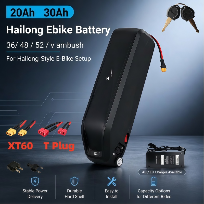 Veelzijdige Hailong-batterij,  - Ebike Battery 48V 20Ah Hailong recensie en prijs