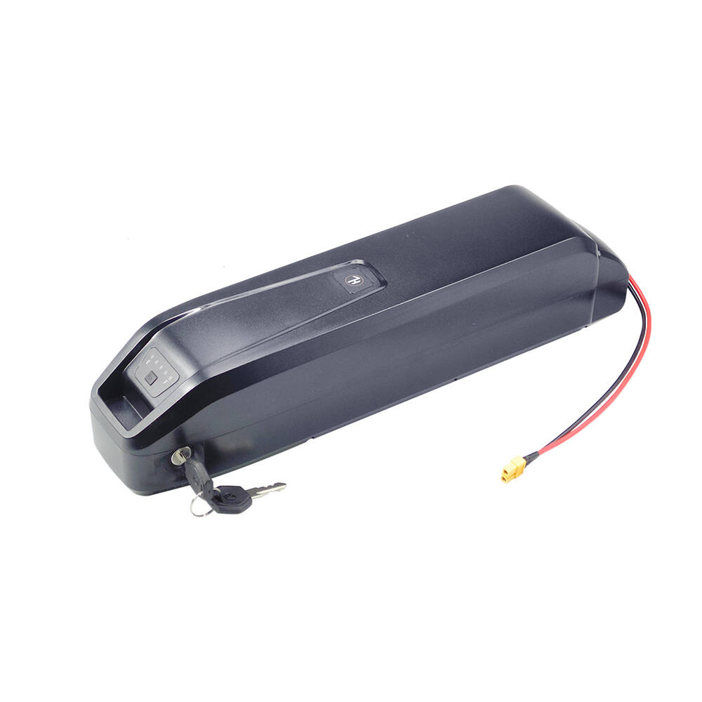 Nieuwe S20 Pro 48V 13Ah 20Ah H - Ebike Battery 48V 20Ah Hailong recensie en prijs